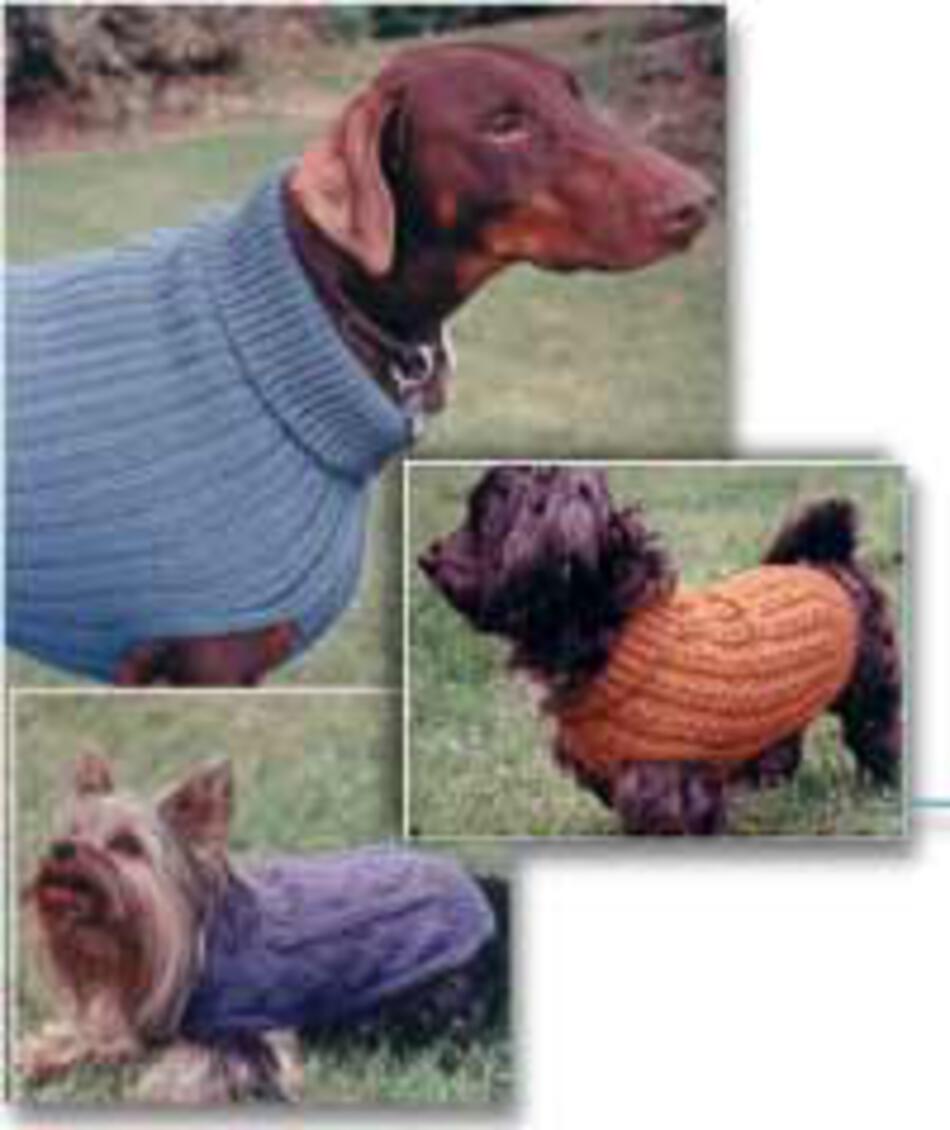 Knitting Patterns Fiber Trends Dandy Dog Sweaters 