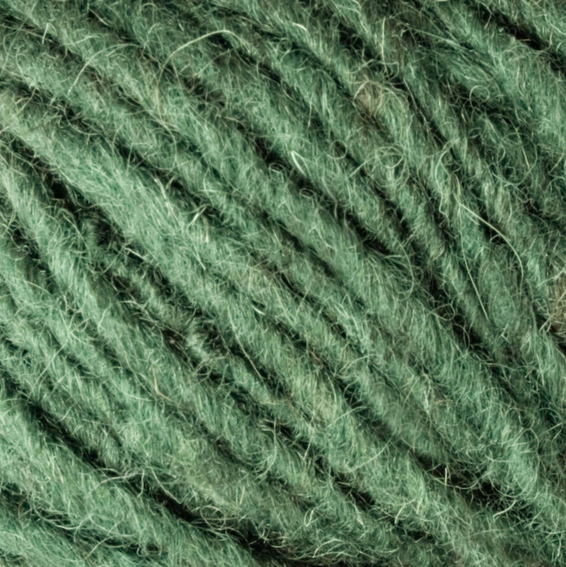 Close-up view of green yarn, focusing on the texture and fibers. The yarn, resembling Halcyon Geo Rug Wool by Caledonian Dye Works, appears soft and slightly fuzzy, with individual strands twisted together.