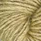 Close-up of a skein of Caledonian Dye Works' Halcyon Geo Rug Wool in a soft, light green color with a slight gradient. The texture appears fuzzy and thick, with the strands of yarn tightly wound together in a spiral pattern.