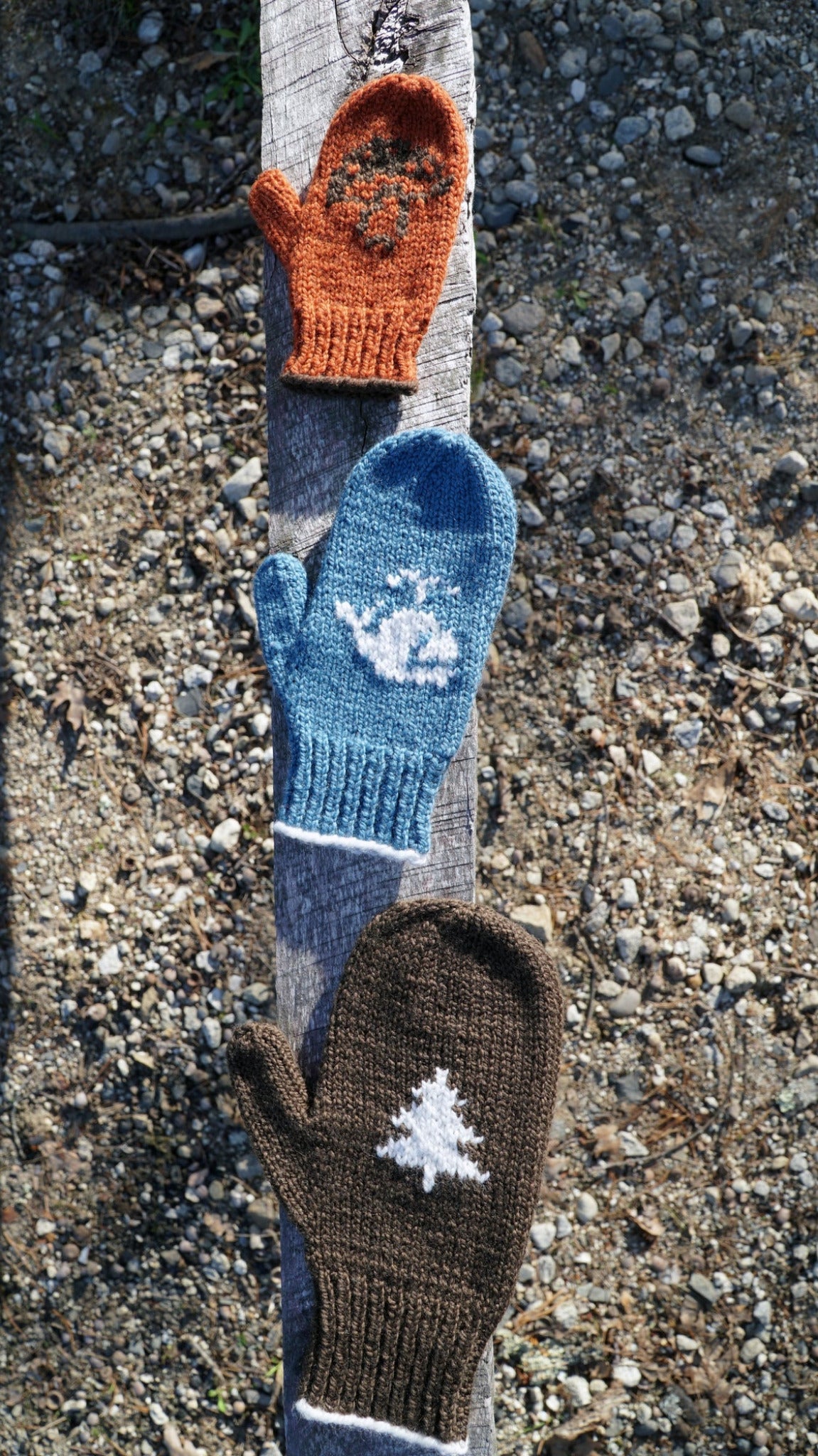 Three Pemaquid Mittens displayed on a wooden plank: the top one is orange with a sun-like pattern, the middle one is blue with a white whale design, and the bottom one is brown with a white tree motif. These family-sized mittens by Halcyon Yarn showcase intricate knitting patterns against a background of gravelly ground.