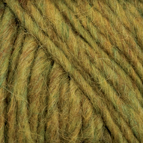 A close-up image of chunky, multi-toned Lopi Alafoss Icelandic Wool Yarn from Berroco, Inc. in shades of green with hints of yellow and brown. The yarn has a soft, textured appearance, with visible fibers and a slightly fuzzy surface. Perfect for crafting felted mittens or Icelandic pullovers. The strands appear to be wound together tightly.