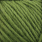 Close-up of thick Lopi Alafoss Icelandic Wool Yarn by Berroco, Inc., showcasing its tightly wound fibers with a fuzzy texture. The strands run diagonally across the frame, forming a pattern of parallel lines. The yarn boasts a vibrant, deep green color, suggesting a soft and cozy material ideal for creating Icelandic pullovers.