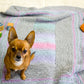 A small brown dog with pointed ears sits attentively on a Dream Baby baby blanket by Halcyon Yarn. To the left, there are scattered wooden alphabet blocks. In the top right corner is a purple teddy bear toy and an orange dinosaur toy.