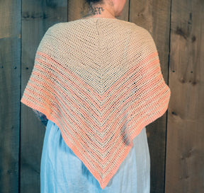 A person is wearing the Waiting Room Crocheted Shawl by Halcyon Yarn, featuring beige and pink stripes over a light blue outfit, standing in front of a rustic wooden wall. The shawl showcases an intricate crochet pattern with a textured chevron design, draping elegantly over the person's back and shoulders.