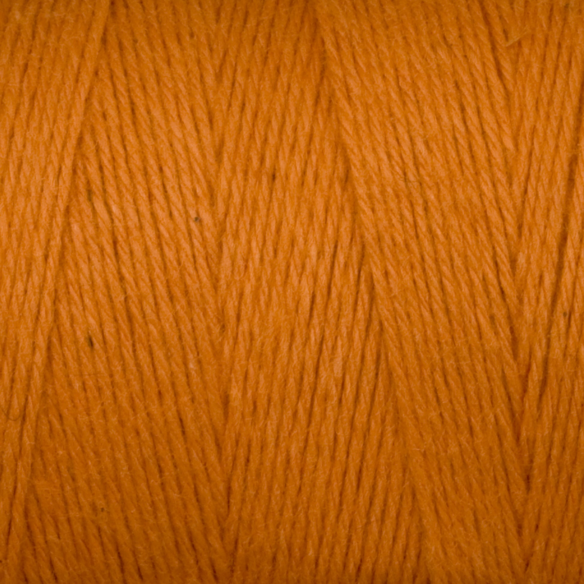 A close-up image of Great Northern Weaving's Cotton Carpet Warp 8/4 yarn in a vibrant orange color. The texture is clearly visible, highlighting the tightly twisted strands and slight variations in shading. The brightness and color saturation emphasize the rich, warm hue of this yarn, often used in crafting rag rugs.