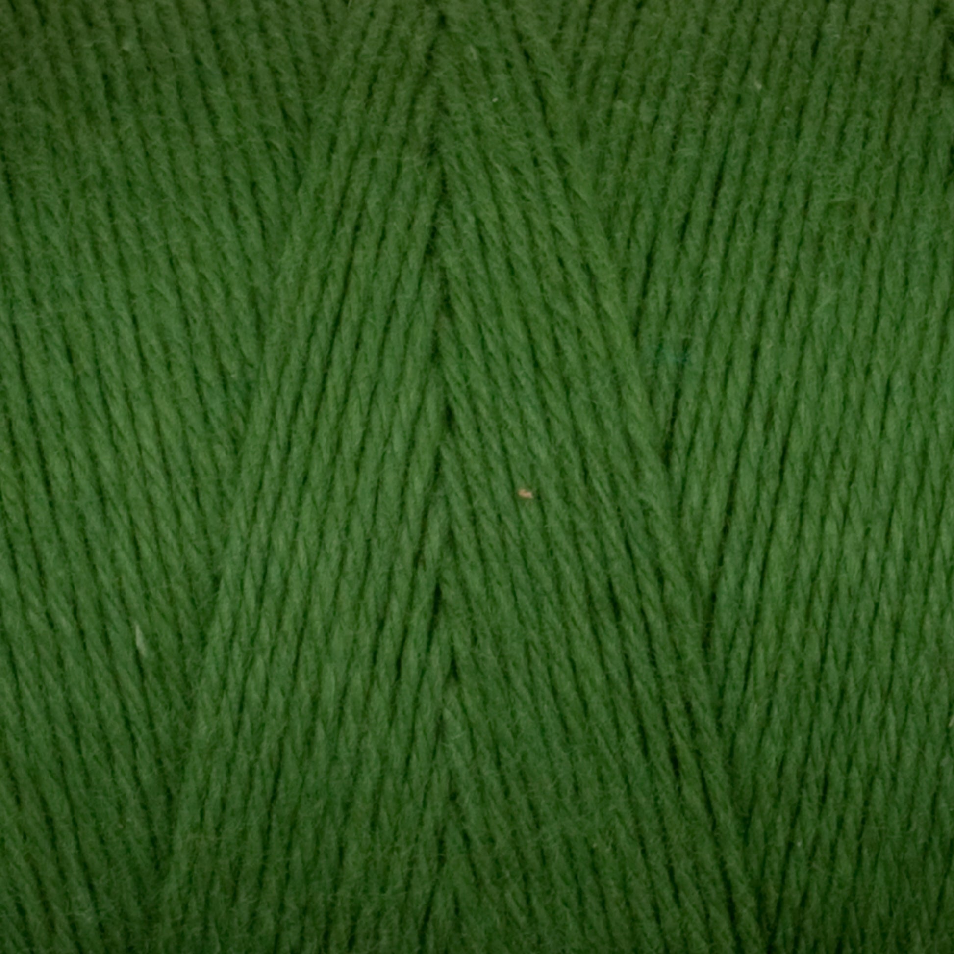 A close-up of the Great Northern Weaving Cotton Carpet Warp 8/4 reveals tightly wound, smooth yarn with a soft texture. The fibers, perfect for crafting cozy coverlets, are neatly aligned. The vibrant green shade is consistent and uniform, creating an appealing appearance.