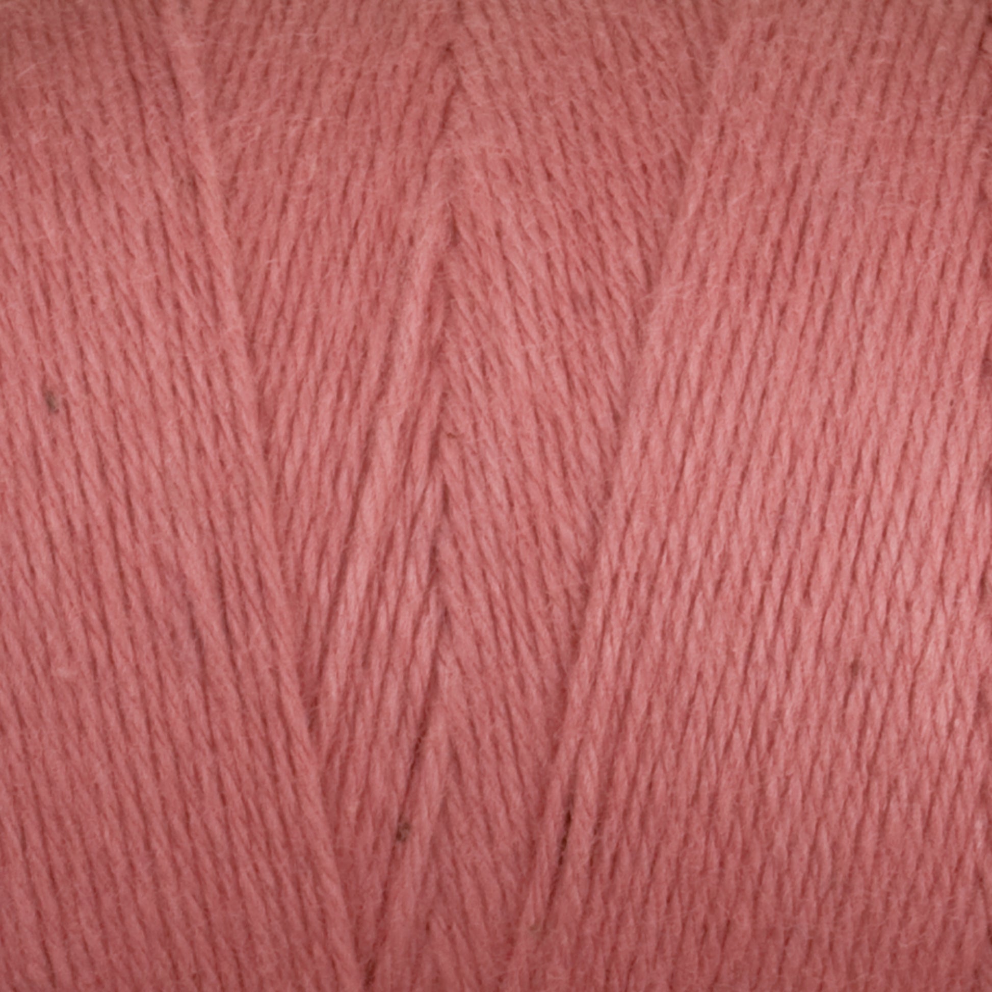 Close-up image of a spool of Great Northern Weaving Cotton Carpet Warp 8/4 in pink, showcasing its detailed texture with fine threads wound neatly in parallel lines. The soft and thick cotton warp is perfect for knitting, crocheting projects, or weaving colorful coverlets.