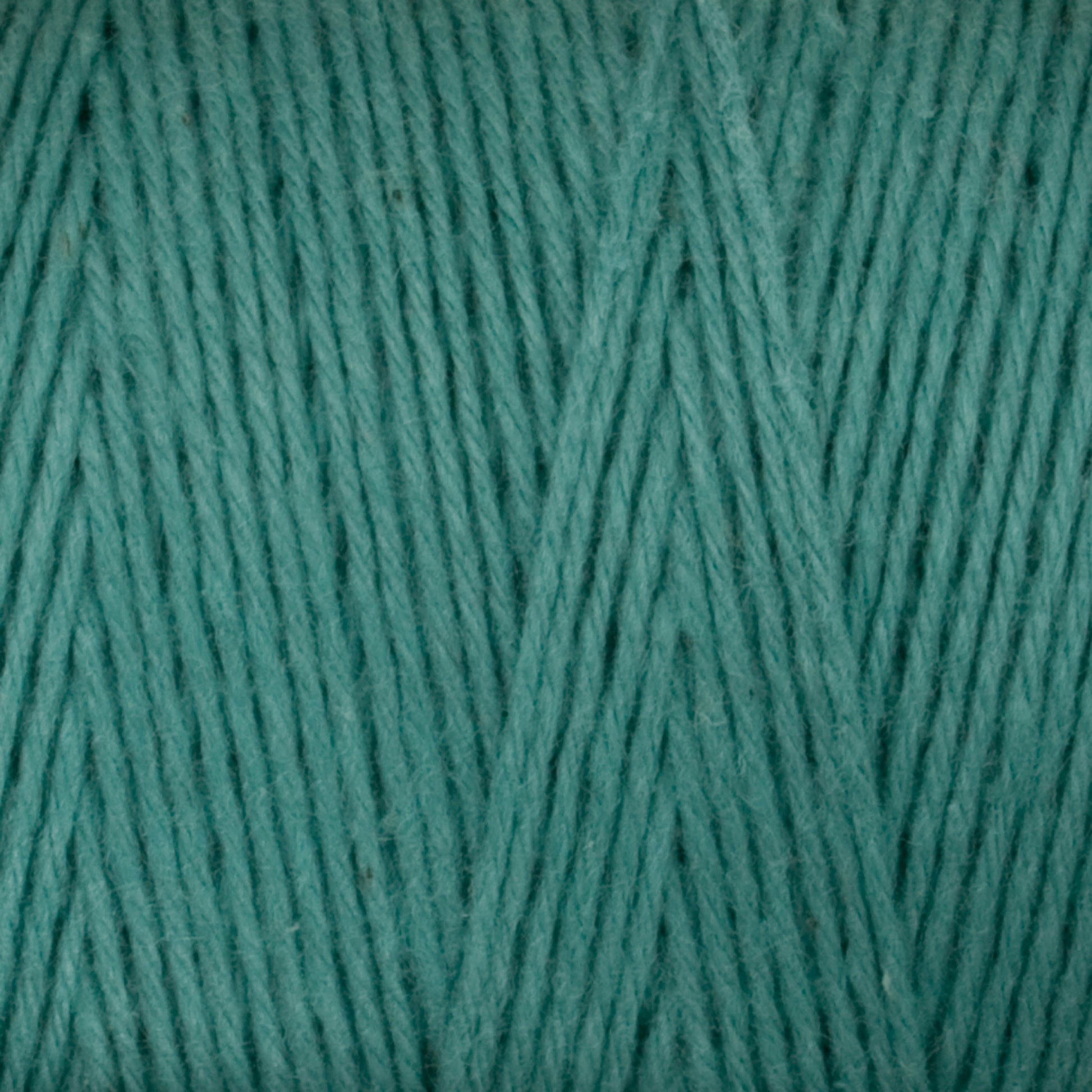 Close-up image of Great Northern Weaving's Cotton Carpet Warp 8/4 yarn, tightly wound in neat parallel strands with a slight crisscross pattern. The texture appears soft and slightly fuzzy, ideal for crafting vibrant coverlets. The image emphasizes the uniformity and vivid teal color of the yarn.