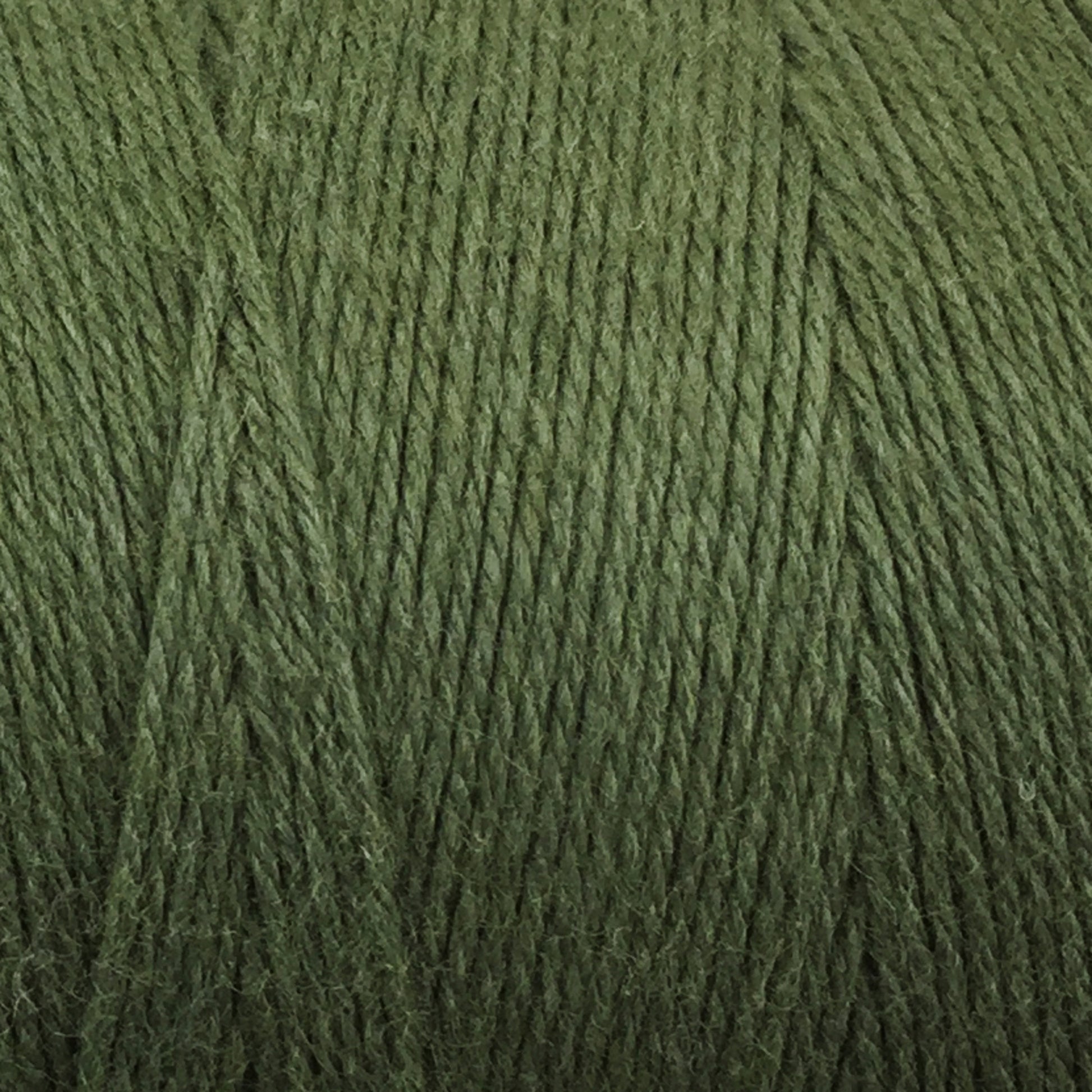 A close-up view of a thick spool of Great Northern Weaving's Cotton Carpet Warp 8/4 in green. The tightly wound fibers show a slightly fuzzy texture, perfect for crafting rag rugs or coverlets. The yarn appears to be of medium weight and has a natural, muted green color.