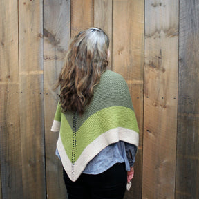 A person with long, wavy hair stands facing away from the camera, showcasing the Space Oddity Shawl by Halcyon Yarn in shades of green and beige. Crafted with garter stitch using worsted weight yarn, the piece complements their blue shirt and black pants as they stand in front of a wooden plank wall.