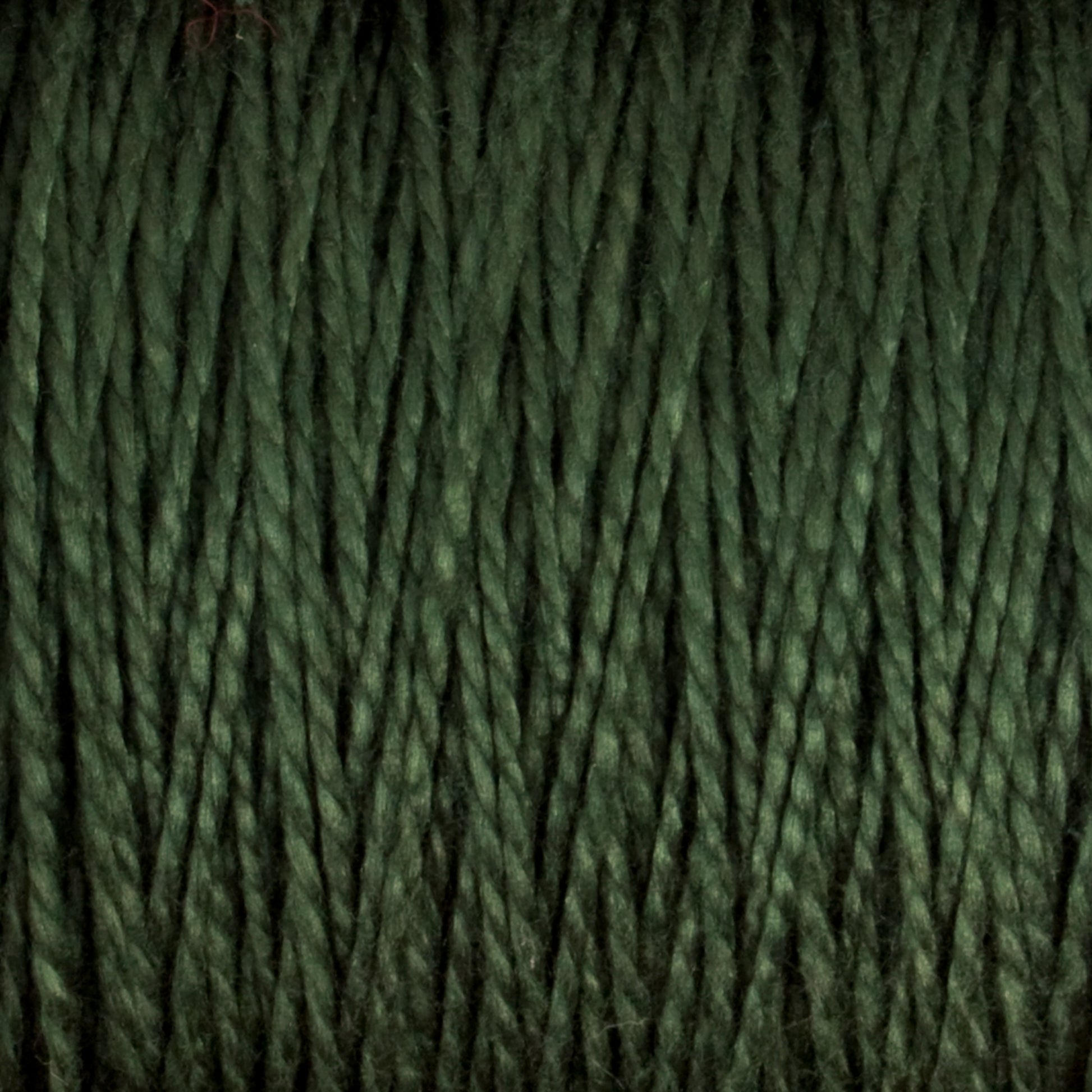 Close-up of a textured, green piece of 3/2 Pearl Cotton Yarn from Supreme Corp. Individual strands are tightly twisted together, creating a dense and uniform pattern across the entire image. The color is a rich, deep green, evoking a natural and earthy feeling.