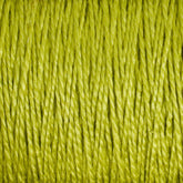 Close-up of multiple strands of bright green twine or rope tightly bundled together, showing the texture of the fibers. The image emphasizes the color and intricate pattern of the intertwined threads, reminiscent of Supreme Corp.'s 10/2 Pearl Cotton Yarn on a Large Cone, renowned for its fine and colorfast qualities.