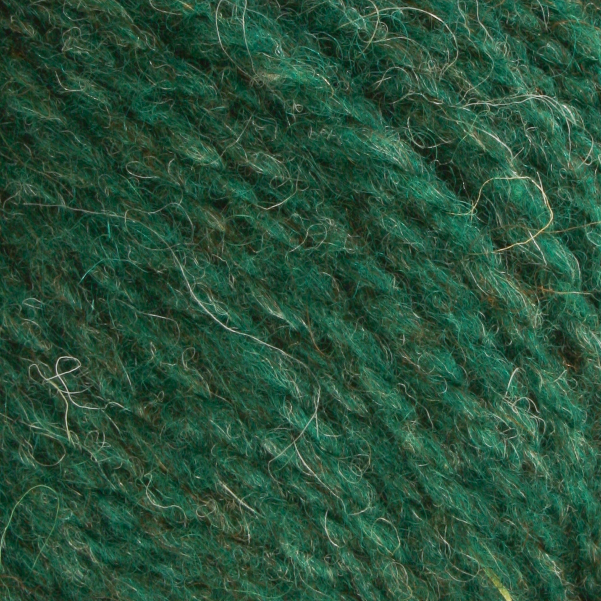 Close-up of Bartletts Maine Wool - Sport yarn by Bartlettyarns, featuring a green hue with a textured and fluffy appearance that showcases intertwined fibers. The image captures the natural variations in color and texture, highlighting the intricate detail of this sport weight yarn's structure.