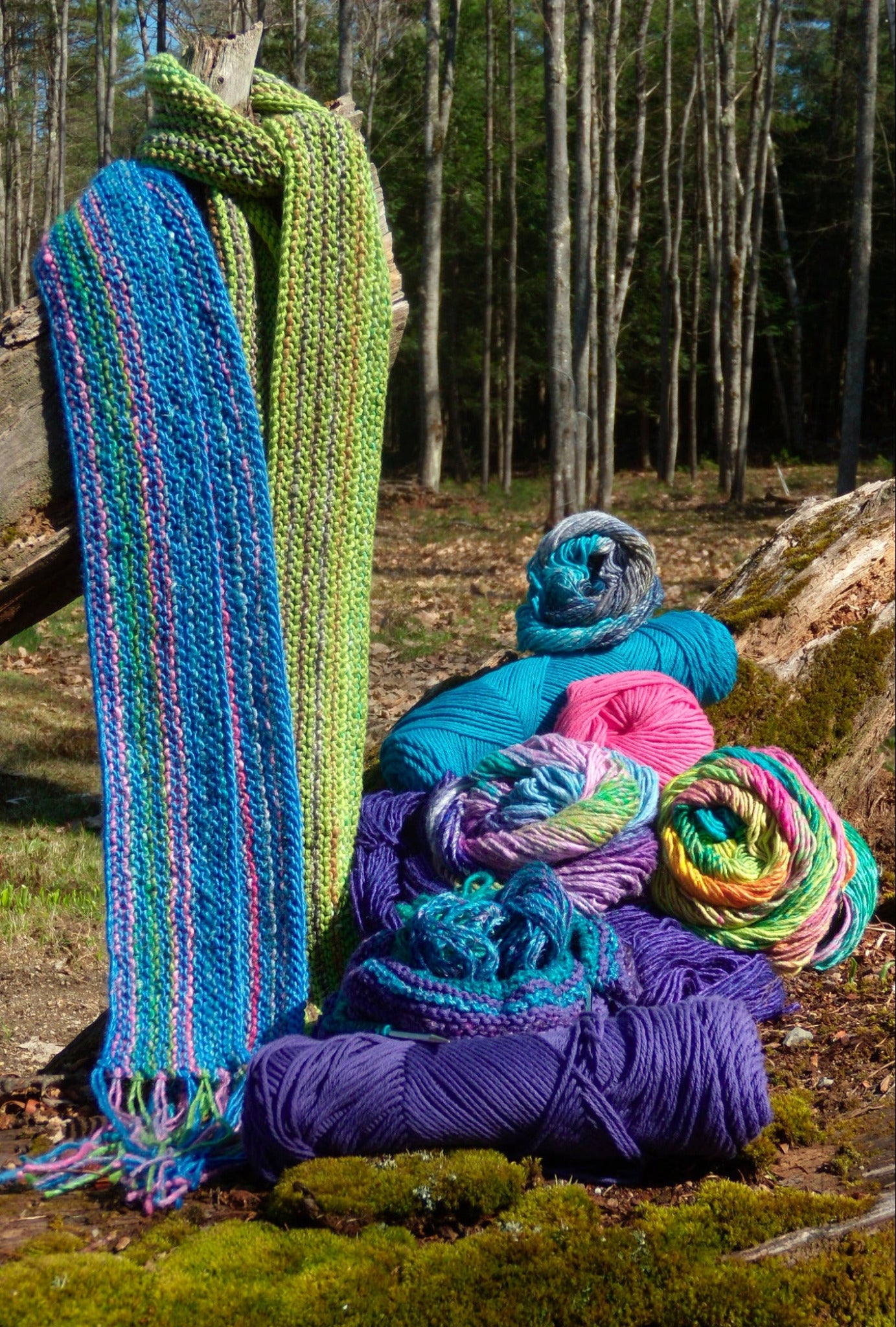 A vibrant, multicolored "Scarf Simplicity" from Halcyon Yarn, showcasing a unique knitting pattern, is draped over a fallen tree trunk. Bundles of bright Halcyon Yarn in blue, pink, purple, and green are scattered on the ground. The sunlit scene is set in a sparse woodland area.