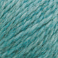 A skein of Cascade Yarns' Cascade Eco and Cascade Eco Plus Wool Yarn, crafted from Peruvian Highland wool, is coiled in a twist. This chunky green yarn appears thick and textured, with a blend of dark and light green fibers intertwined to create a striking marbled effect. The plain white background highlights the vibrant green yarn prominently.