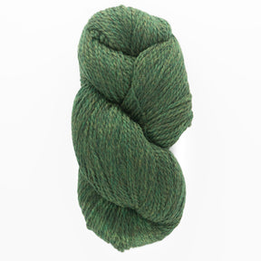 A skein of Cascade Yarns' Cascade Eco and Cascade Eco Plus Wool Yarn, crafted from Peruvian Highland wool, is coiled in a twist. This chunky green yarn appears thick and textured, with a blend of dark and light green fibers intertwined to create a striking marbled effect. The plain white background highlights the vibrant green yarn prominently.