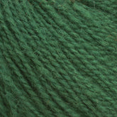 Close-up view of Halcyon Yarn's Victorian 2-Ply Wool Yarn in forest green, showcasing its texture and individual fibers. The 2-ply strands have a fuzzy appearance, making them perfect for hand knitting projects.