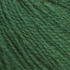 Close-up view of Halcyon Yarn's Victorian 2-Ply Wool Yarn in forest green, showcasing its texture and individual fibers. The 2-ply strands have a fuzzy appearance, making them perfect for hand knitting projects.