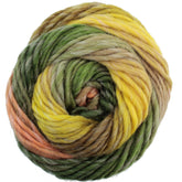 The Plymouth Yarn Co. offers the Plymouth Gina Chunky, a skein of multi-colored chunky yarn that features an array of shades including green, yellow, brown, and a hint of peach. The fibers are expertly wound into a circular shape, displaying a seamless gradient of colors that blend effortlessly—ideal for your Alpine Toppers projects.