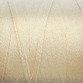 Close-up of a spool of Maurice Brassard 8/2 Tencel Yarn | Tube with a shiny, smooth texture. The thread is wound tightly around the spool, creating horizontal and diagonal patterns. The surface appears slightly reflective, highlighting its polished finish—ideal for knitting accessories and weaving projects.