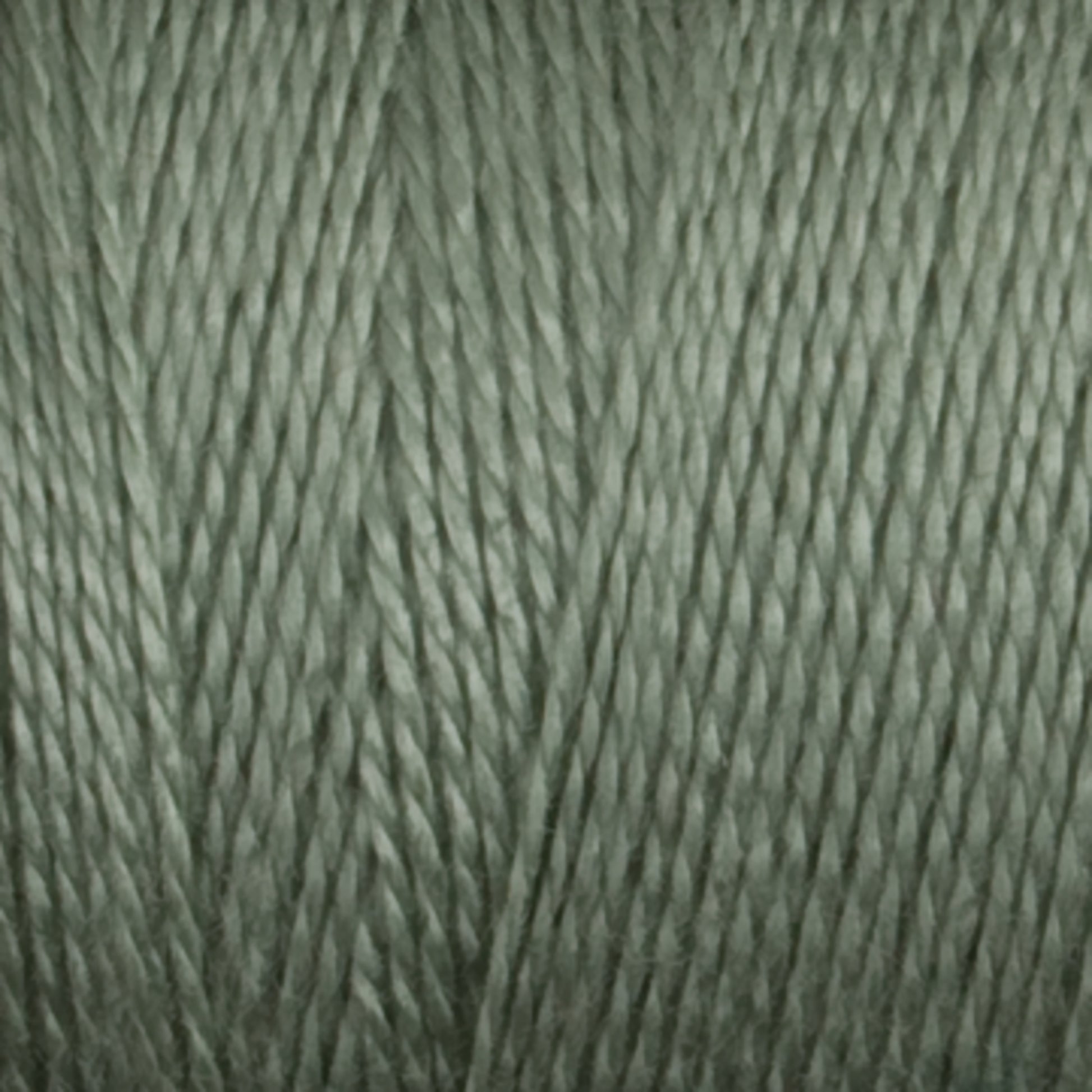 Close-up image of a spool of Maurice Brassard 8/2 Tencel Yarn in a muted green color. The yarn fibers are tightly twisted together, creating a smooth and slightly glossy texture—perfect for knitting accessories or weaving projects.