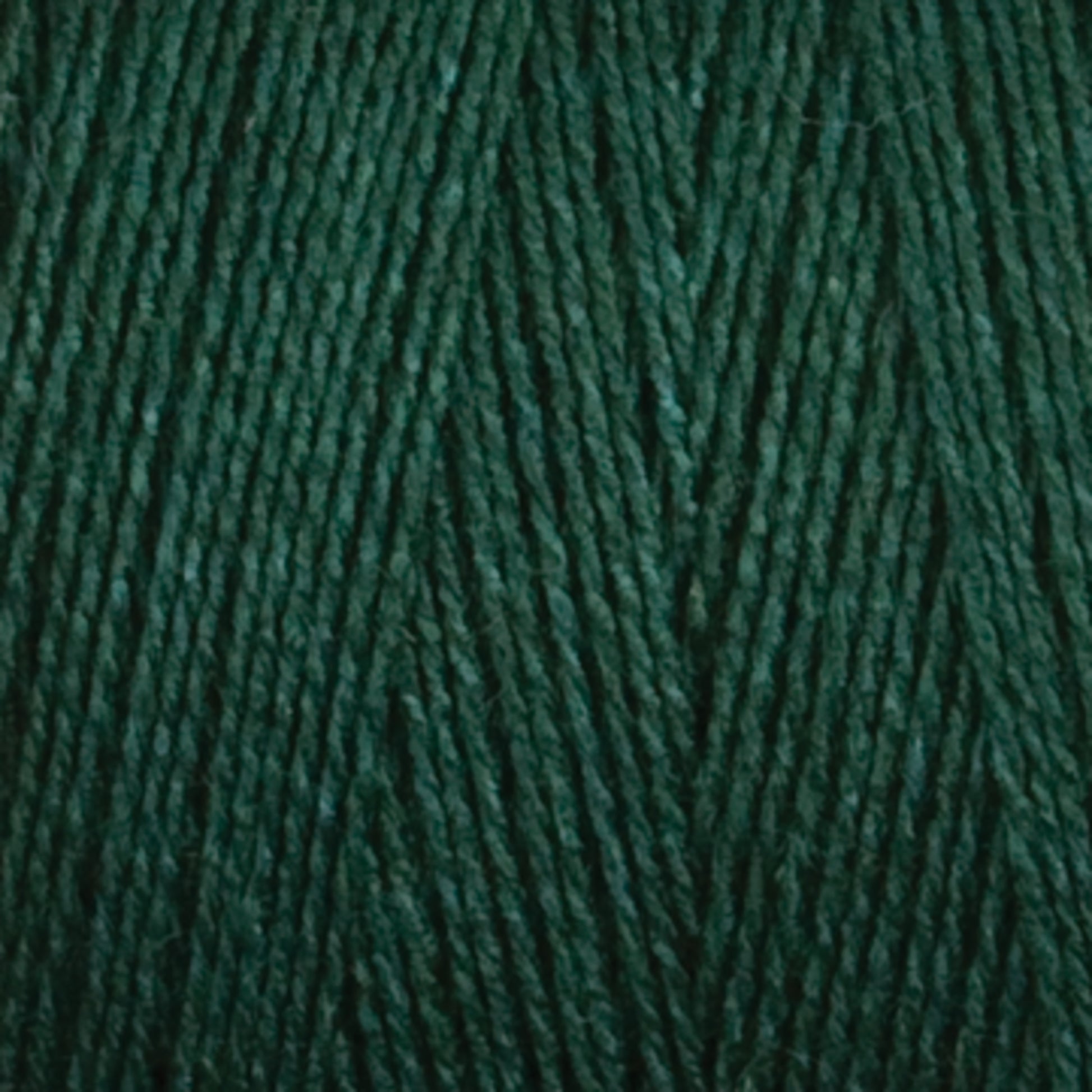 A close-up of Maurice Brassard's 8/2 Tencel Yarn | Tube in dark green, tightly wound to reveal its detailed texture and strands. The fibers look soft and subtly glossy, making them ideal for knitting or crocheting. The rich, uniform color exudes a deep, earthy tone perfect for weaving projects.