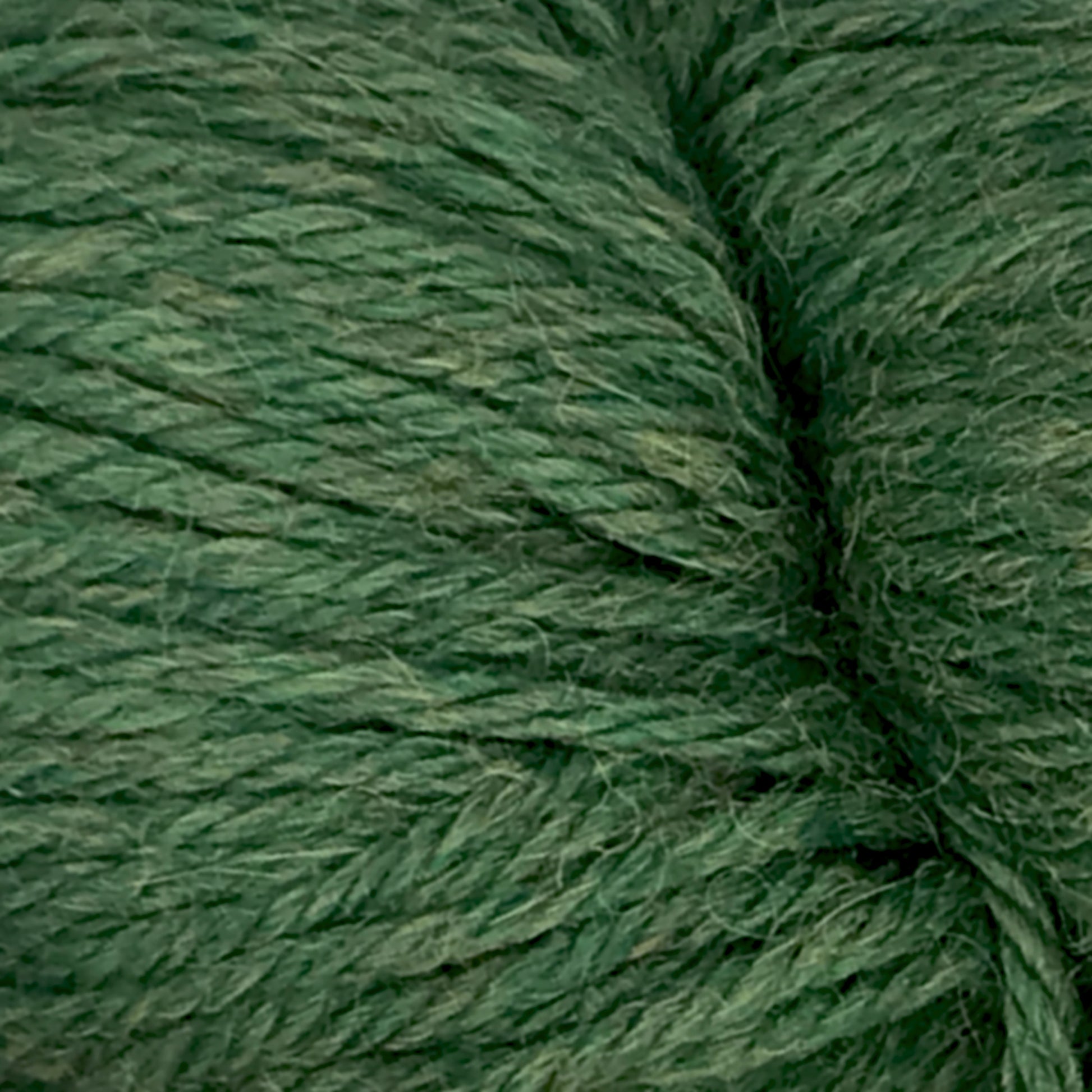 Close-up image of Juniper Moon Farm Herriot Baby Alpaca fibers tightly wound together, showcasing intricate details and texture. The DK weight yarn from Knitting Fever / Euro appears soft with a somewhat matte finish and varying shades of green, giving it a natural, organic look. Made from extrafine baby alpaca, it exudes luxury and warmth.