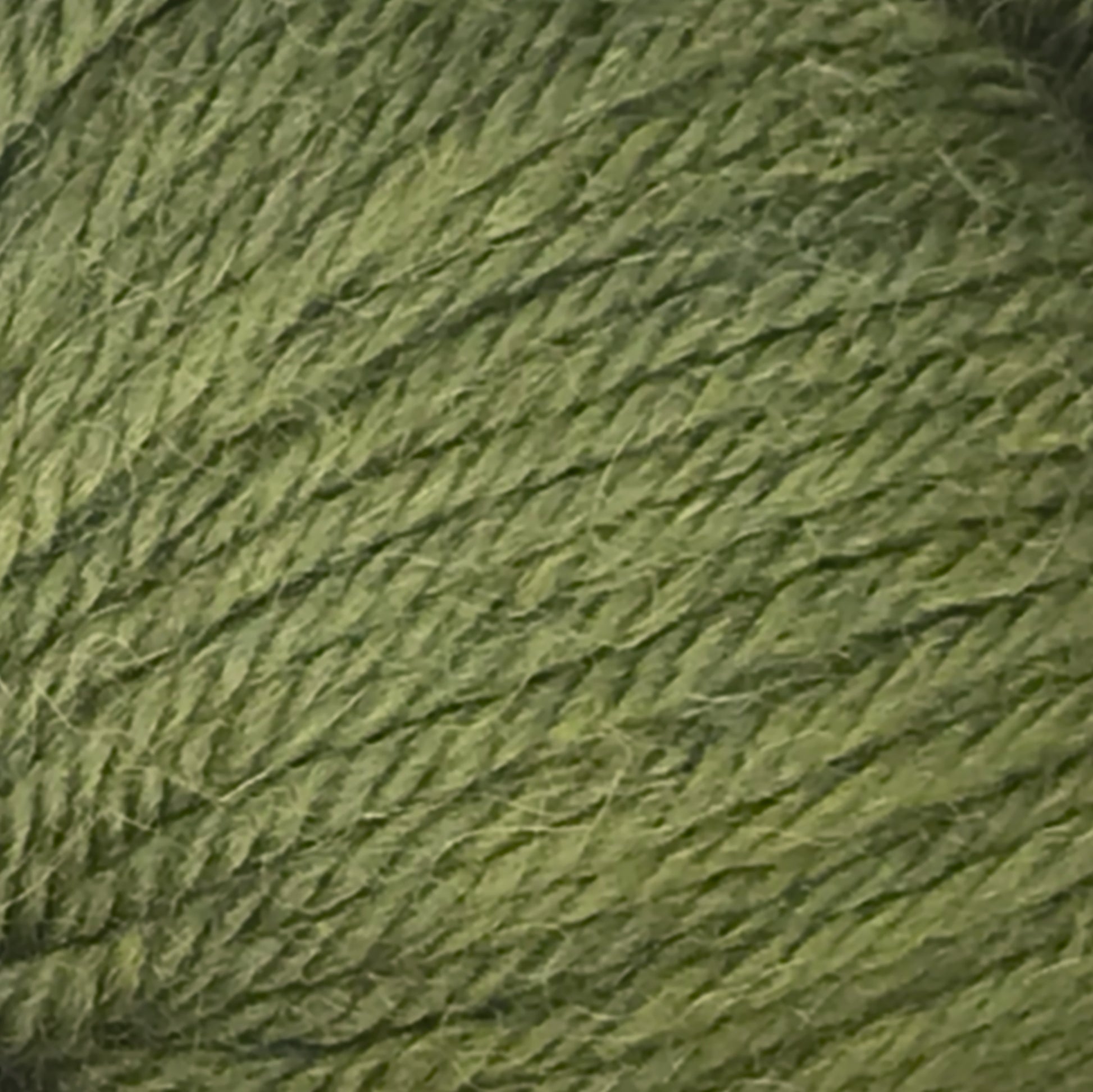 Close-up image of Juniper Moon Farm Herriot Baby Alpaca yarn in green. The fibers from Knitting Fever / Euro are tightly twisted, creating a textured pattern. The color is a rich, even shade of green, perfect for knitting or crocheting projects with luxurious extrafine baby alpaca.