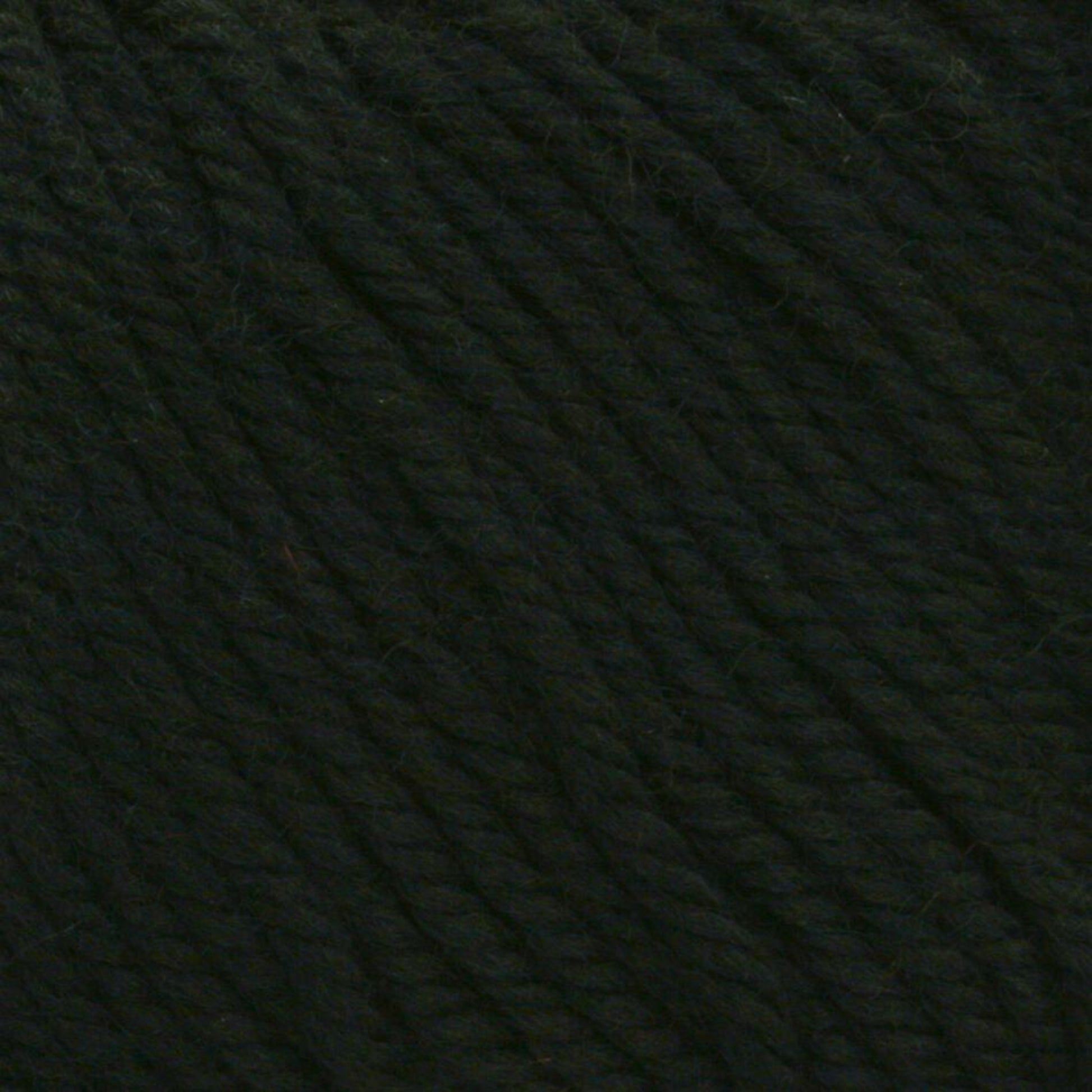 Close-up of dark green Cascade 220 Superwash Wool Yarn from Cascade Yarns, showcasing its DK weight with a soft and textured appearance. The 100% merino wool fibers are twisted together, highlighting their thickness, beautiful stitch definition, and subtle variations in shading.