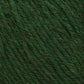 Close-up of dark green Cascade 220 Superwash Wool Yarn by Cascade Yarns. The 100% merino wool fibers are tightly twisted, showcasing a textured and slightly fuzzy surface with variations in the green shade. This superwash DK weight yarn provides beautiful stitch definition, making it perfect for knitting or crocheting projects.