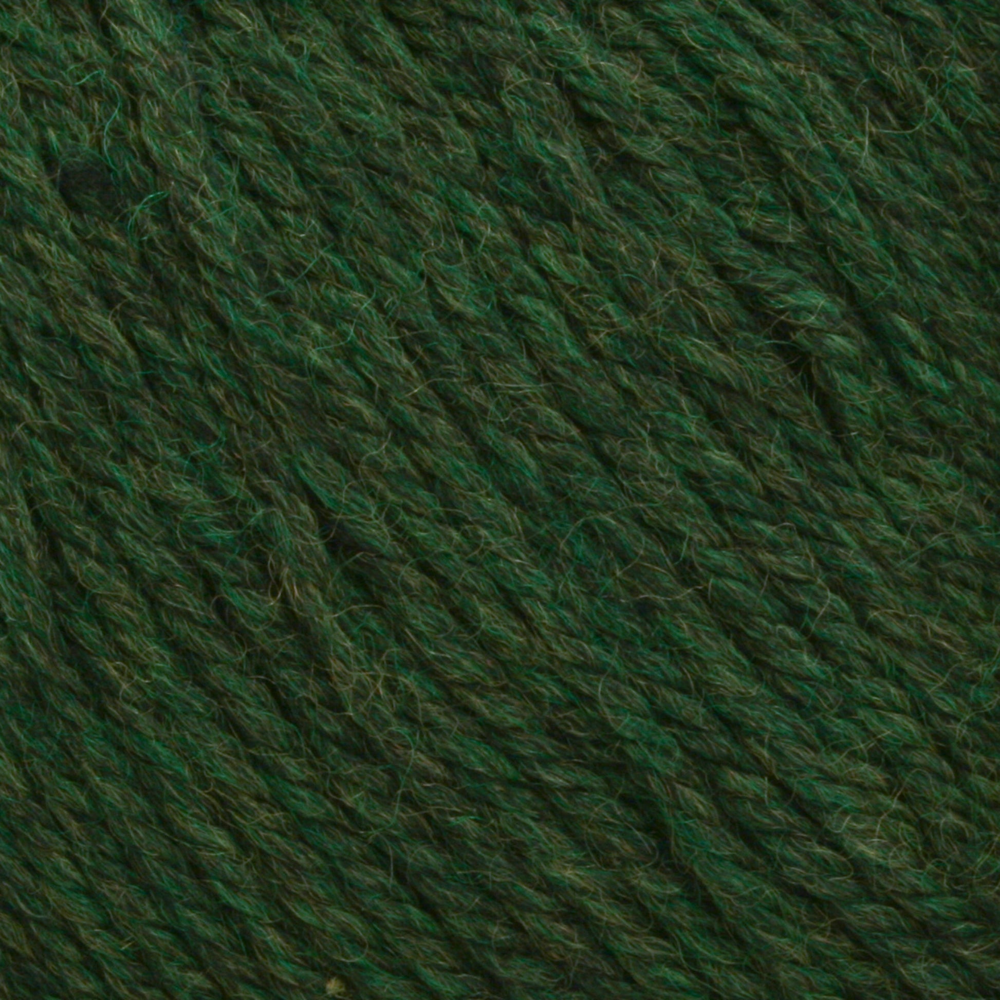 Close-up of dark green Cascade 220 Superwash Wool Yarn by Cascade Yarns. The 100% merino wool fibers are tightly twisted, showcasing a textured and slightly fuzzy surface with variations in the green shade. This superwash DK weight yarn provides beautiful stitch definition, making it perfect for knitting or crocheting projects.