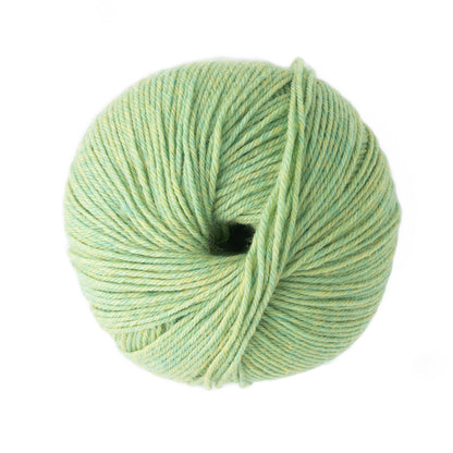 A ball of Cascade 220 Superwash Wool Yarn by Cascade Yarns, dyed in a light green shade and made from 100% merino wool, is displayed against a white background. The yarn, classified as superwash DK weight, is expertly wound into a round shape. It features a subtle gradient of green tones that offer a soft, textured look and excellent stitch definition.