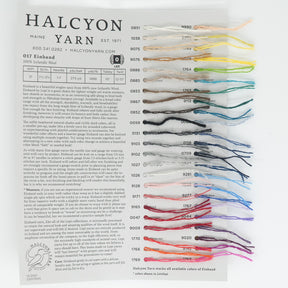 A Halcyon Yarn catalog page features a variety of colors for the Einband Lopi Sample Card - Einband. Each color sample is clearly numbered and organized in columns next to their respective names and descriptions. Contact information and additional yarn details are prominently displayed at the top and bottom of the page.