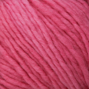 Close-up image of thick, kettle-dyed pink yarn. The worsted weight gauge strands are tightly wound together, showcasing their texture and softness. Made from Malabrigo Merino Worsted Wool Yarn by Malabrigo Yarn, the pink hue is consistent throughout, giving it a vibrant and smooth appearance.