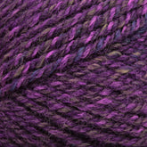 Close-up of Plymouth Encore Worsted Yarn by Plymouth Yarn Co., featuring vivid purple variegated strands intertwined with subtle hints of green and blue hues, showcasing the texture and color variations suitable for knitting or crocheting projects. This economical option is also machine washable for added convenience.