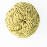 A tightly wound ball of light green yarn sits against a white background. The Jo Sharp Desert Garden Aran Cotton from Kingfisher Yarn & Fibre appears soft and thick, suitable for knitting or crocheting, promising a quick knitting gauge for your projects.