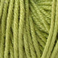 Close-up image of green yarn strands tightly wound together, showing the texture and twists of the fiber. The yarn, Jo Sharp Mulberry Silk Georgette Yarn by Kingfisher Yarn & Fibre, appears to be a soft, light green color, perfect for knitting or crocheting heirloom items.