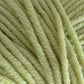 Close-up image of Jo Sharp New Era Merino DK Superwash yarn by Kingfisher Yarn & Fibre in light green. The thick, super soft strands of yarn are tightly wound together, showcasing a slightly fuzzy texture. Ideal for DK weight projects, the color is uniform throughout, with subtle variations in shading visible due to the lighting and texture of the fibers.