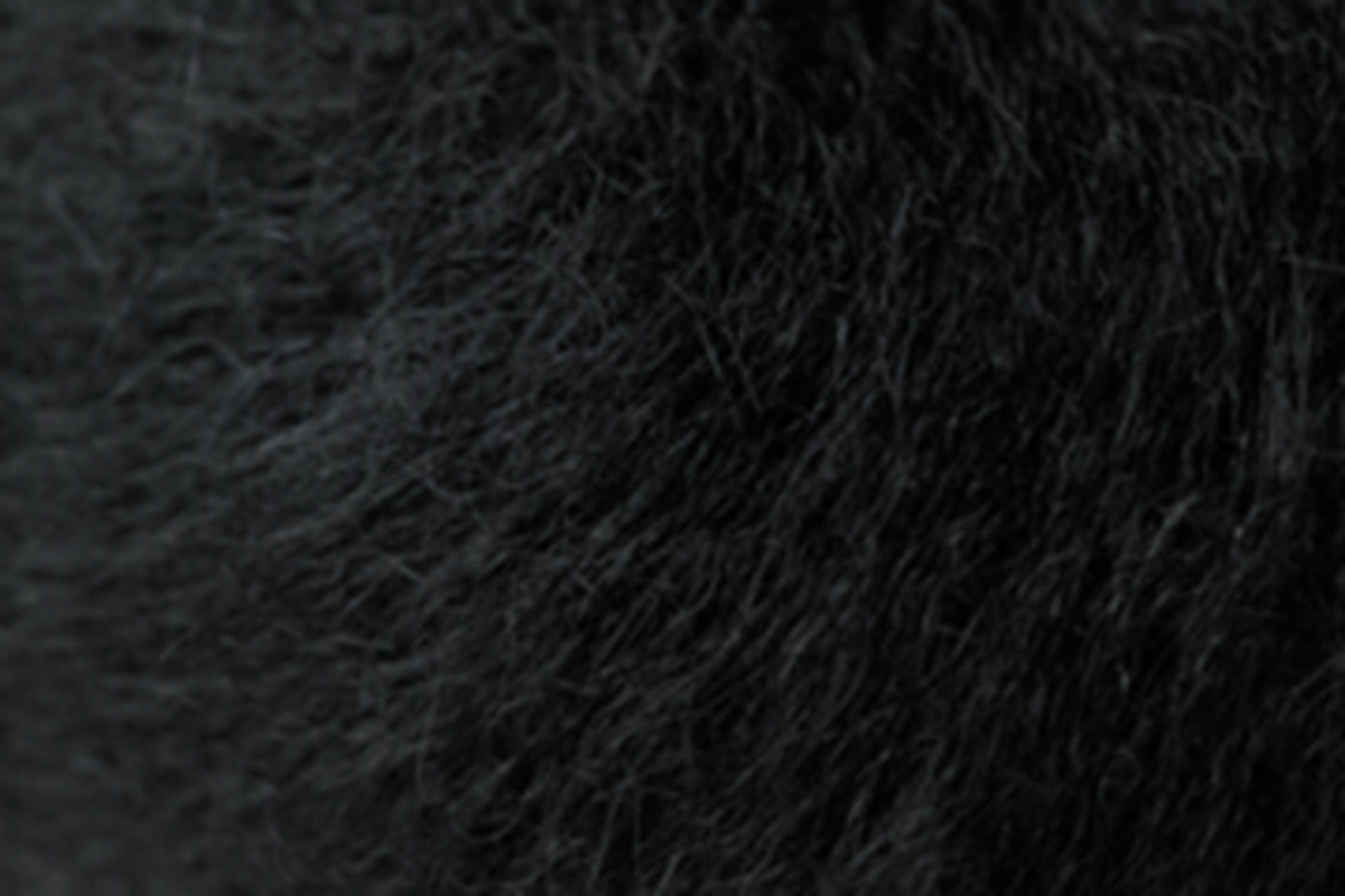 Close-up view of textured black fur, showcasing fine, dense strands and subtle variations in shading, reminiscent of the soft elegance of Kingfisher Yarn & Fibre's Jo Sharp Rare Comfort Kid Mohair.