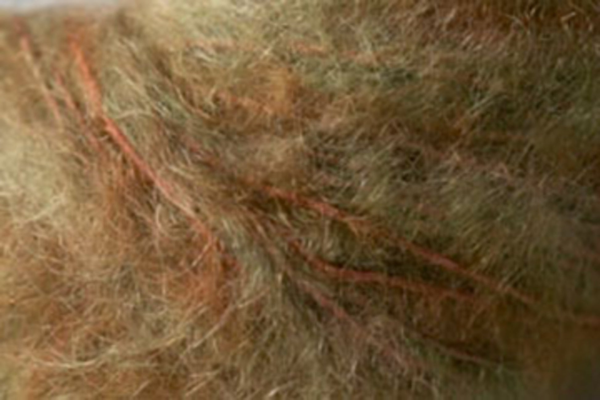 Close-up of a person's scalp with several reddish, raised marks that appear to be scars running through their light brown, slightly disheveled hair. The rugged texture contrasts sharply against the Kingfisher Yarn & Fibre's Jo Sharp Rare Comfort Kid Mohair, akin to airy sweaters delicately resting on the skin.