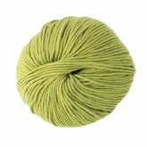 A round ball of light green Jo Sharp Soho Summer DK Cotton yarn by Kingfisher Yarn & Fibre, tightly wound and neatly arranged. This lightweight and luxurious DK cotton yarn boasts a soft and smooth texture, ideal for summer knitting or crochet projects. The plain white background accentuates the vibrant color of the yarn.