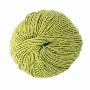 A round ball of light green Jo Sharp Soho Summer DK Cotton yarn by Kingfisher Yarn & Fibre, tightly wound and neatly arranged. This lightweight and luxurious DK cotton yarn boasts a soft and smooth texture, ideal for summer knitting or crochet projects. The plain white background accentuates the vibrant color of the yarn.