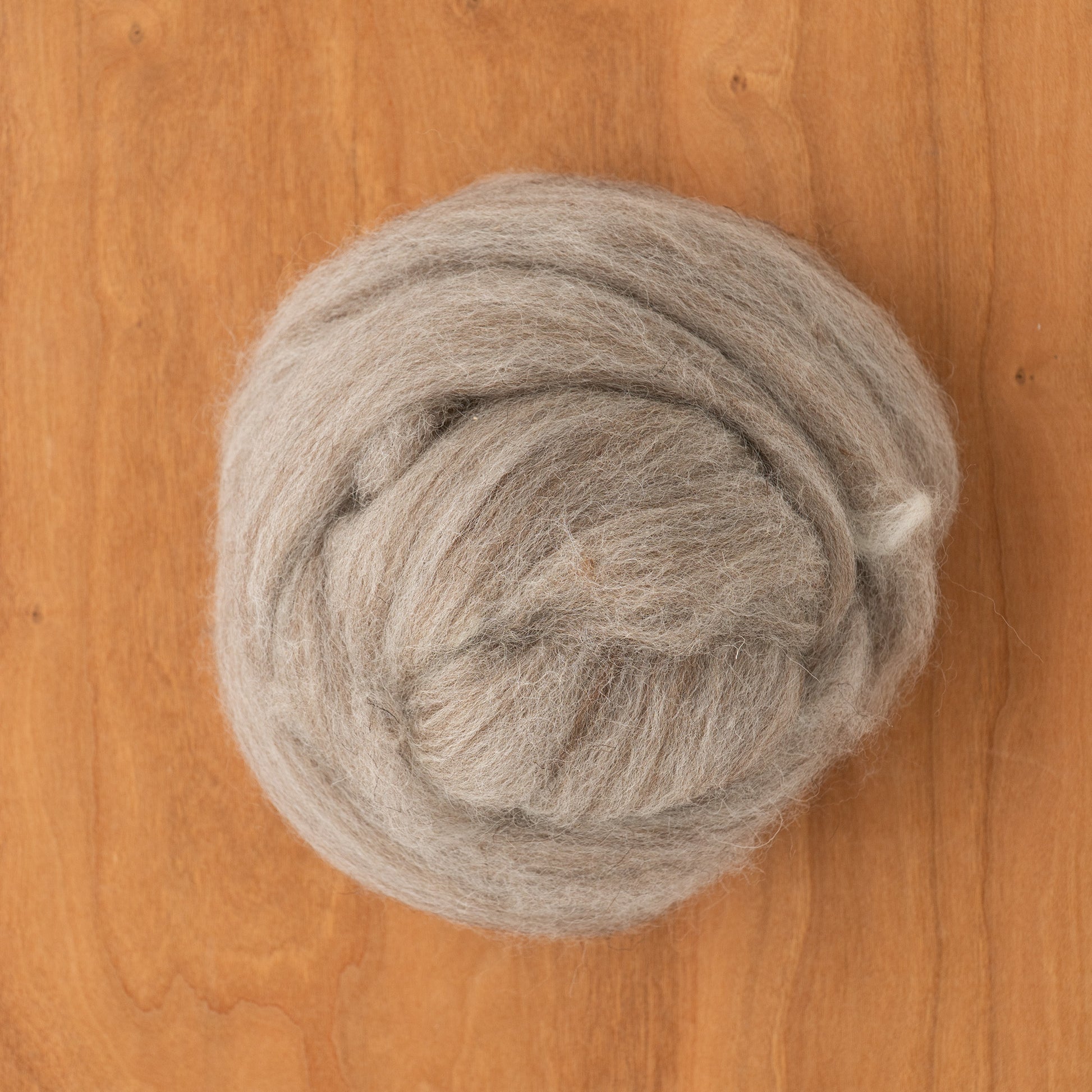 A round bundle of light gray Blue Faced Leicester (BFL) Wool Top by Europa Wools Ltd is neatly coiled on a wooden surface, creating a textured, soft appearance against the smooth background.