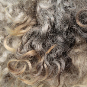 Close-up of Prairie Lake Farm’s Kid Mohair Locks & Loose Fiber, showcasing thick, curly hair reminiscent of kid mohair, with a mix of light blond and grey strands. The fiber appears textured and voluminous, with tightly coiled curls throughout.