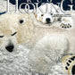 Cover of "Rug Hooking Magazine Nov/Dec 2023" by Ampry Publishing, Volume XXXV, Number 3. Features a cozy holiday-themed rug depicting a polar bear and a cub. The top banner reads "Cozy Holiday Crafting." Text at the bottom highlights, "Punch Needle Project in Every Issue!