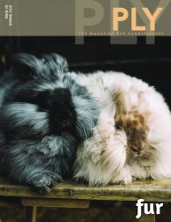 Two fluffy rabbits, one adorned with black and white fur and the other in cream, snuggle together on a wooden surface. They share the cover of PLY - The Magazine for Handspinners, Issue 28, Spring 2020: Fur by PLY Magazine as if posing for a cozy family portrait. Even a curious cat might be tempted to join this warm embrace. The word "Fur" is elegantly displayed at the bottom corner.