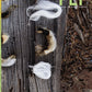 Bundles of white and brown fibers are laid on a textured wooden surface, framed by a backdrop of dried grass and dirt. The cover of PLY Magazine’s Issue 40 for Spring 2023, titled "The Science Issue," features insights into fiber preparation and bioengineered fibers.