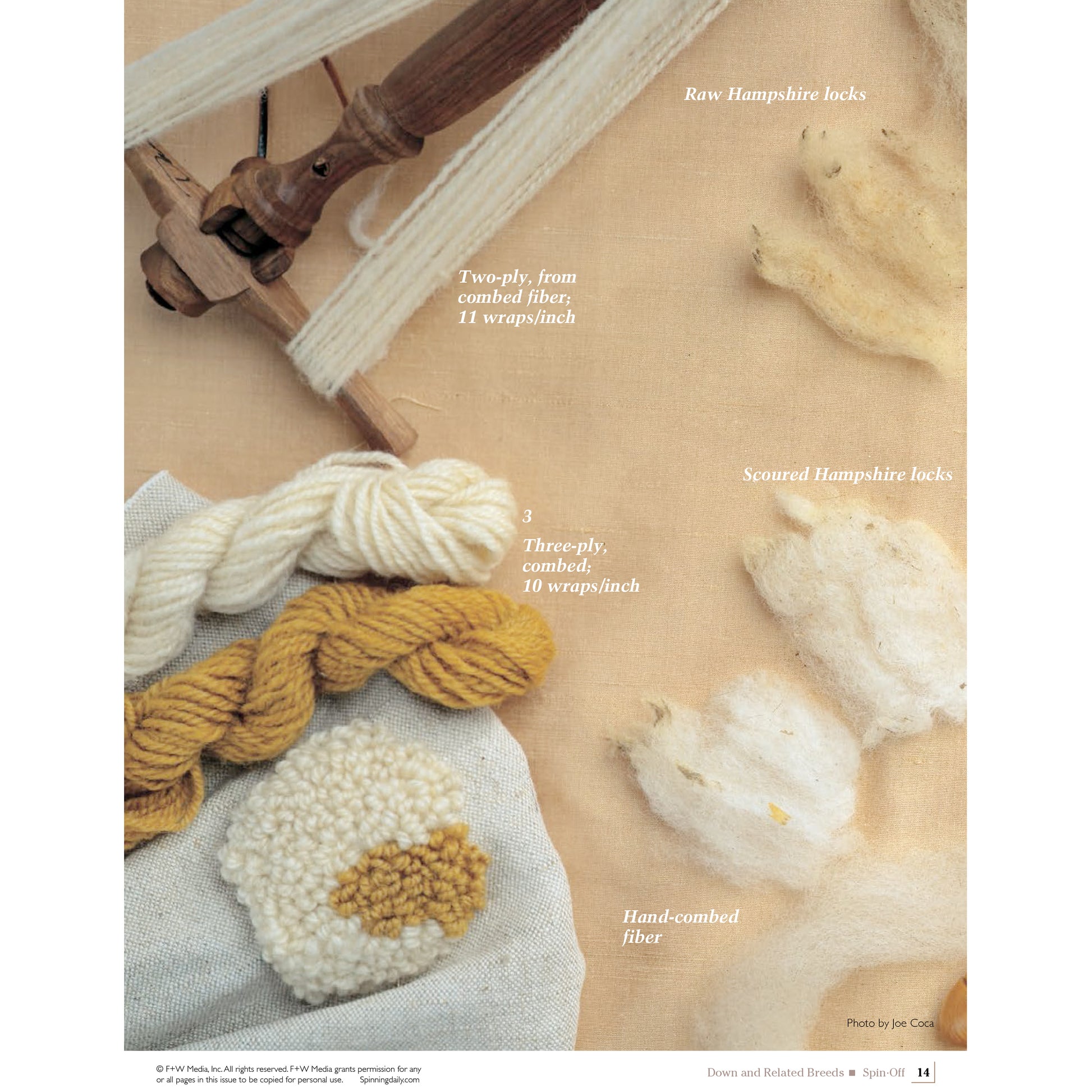 Image depicts various stages and types of wool fibers as featured in "Spin Off Presents: Down and Related Breeds - eBook Printed Copy" by Long Thread Media. From top left to bottom right: raw Hampshire locks, 2-ply yarn from combed fibers, scoured Hampshire locks, hand-combed fiber, and three-ply, combed 10 wraps/inch. All displayed on a beige background.