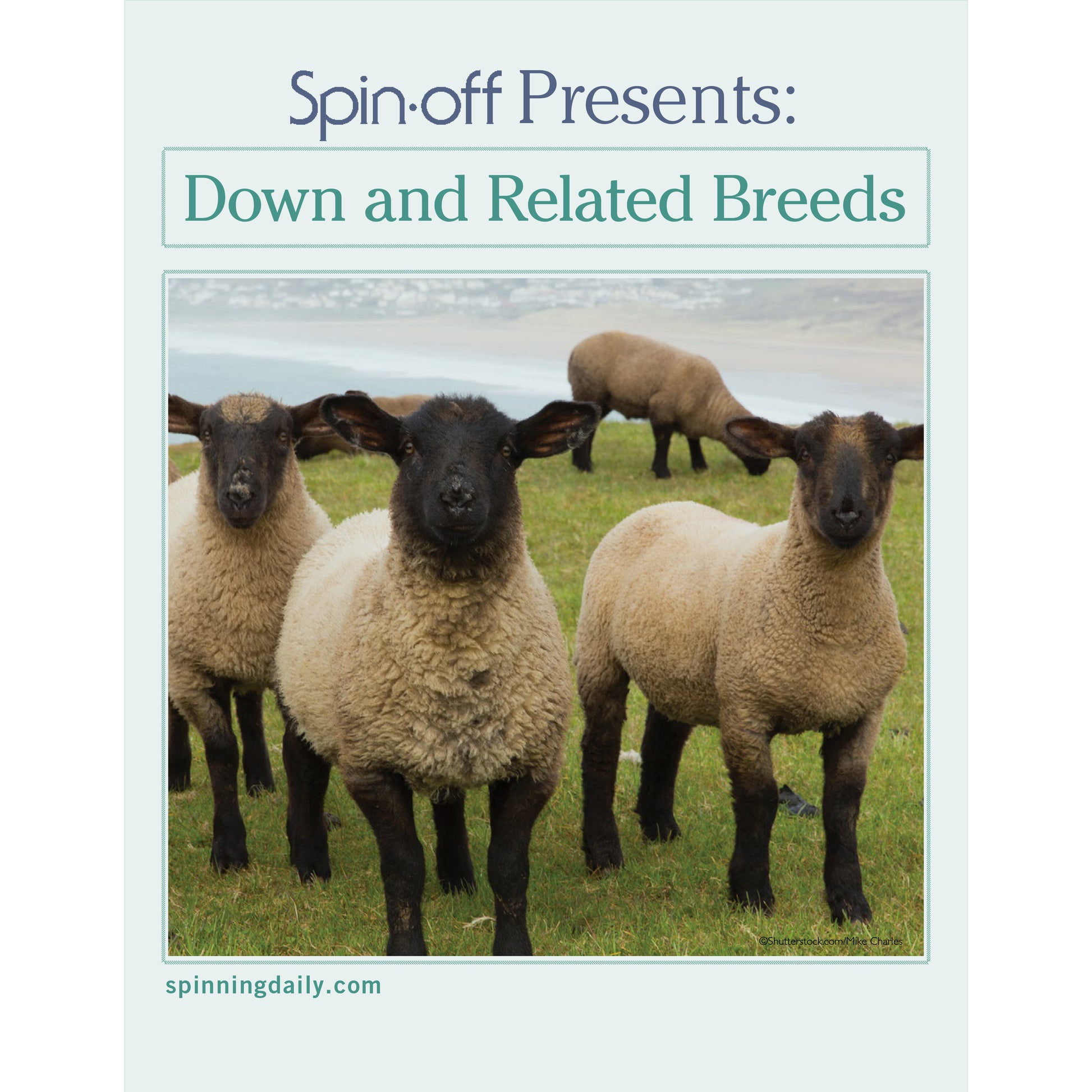 A magazine cover from Long Thread Media titled "Spin Off Presents: Down and Related Breeds - eBook Printed Copy" from spinningdaily.com. The cover features a photograph of four woolly sheep grazing on a grassy field with hills and a water body in the background.