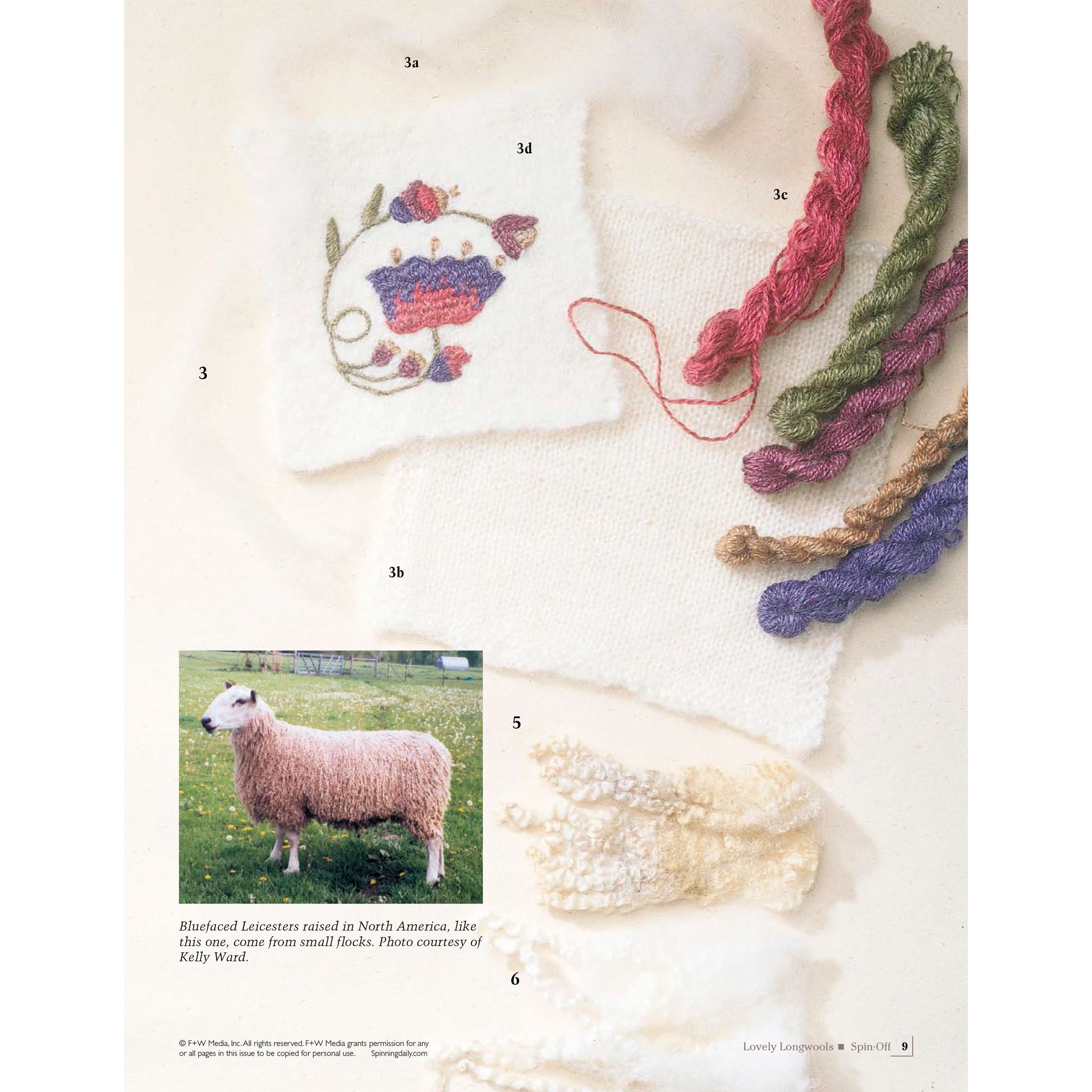 A variety of wool products is displayed from the Spin Off Presents: Lovely Longwools - eBook Printed Copy collection by Long Thread Media. At the center, a swatch with floral embroidery (3d) is prominently featured, surrounded by colorful yarn skeins (3a, 3b, 3c). Below, there is a photo of a Leicester sheep (5) and curly wool locks (6). The background consists of light, textured fabric (4).